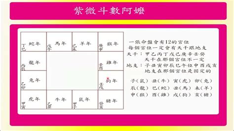 紫微斗數免費|紫微斗數排盤程式